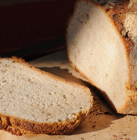 Unser Monats-Brot vom September: Basilisk
