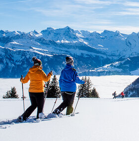 Gewinnen Sie einen Ausflug auf die Rigi